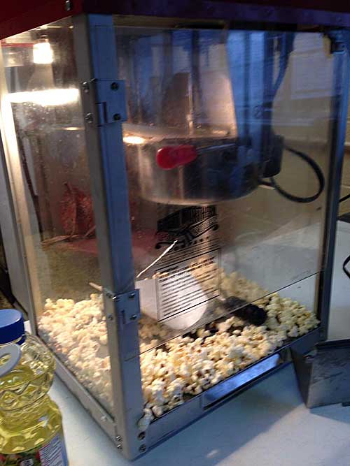 Popcorn
