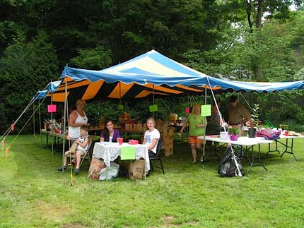 auction tent 2011