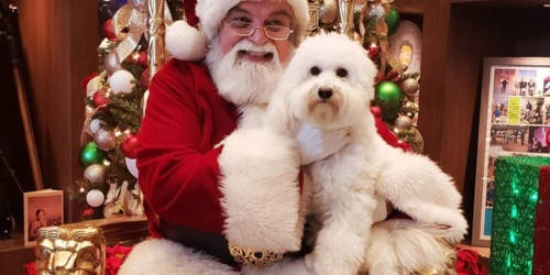 Pet Photos with Santa