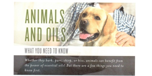 Essential Oils for Pets Program