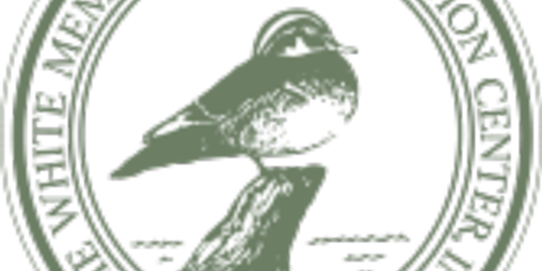 Radical Raptors Program