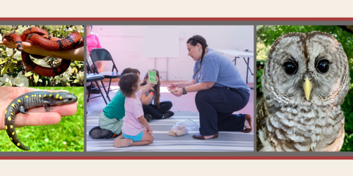 Animal Tricksters presented by White Memorial Conservation Center