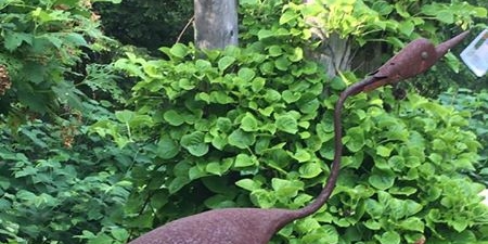 Second Annual New Hartford Yard and Garden Tour