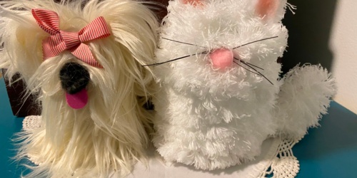Craft Program-Gnome Puppies & Kittens